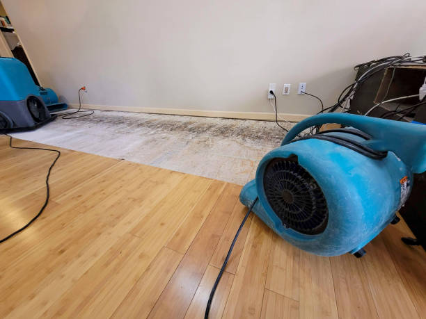 Professional Burst Pipe Water Damage technician working in Pearlington, MS